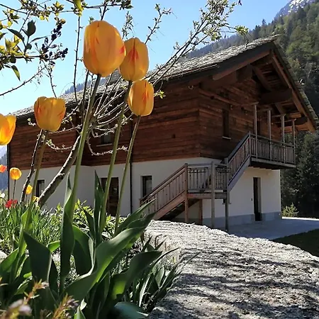 Lorelei Bed & Breakfast